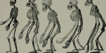 The Evolution of Celebrity Culture in the Age of Internet