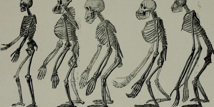 The Evolution of Celebrity Culture in the Age of Internet