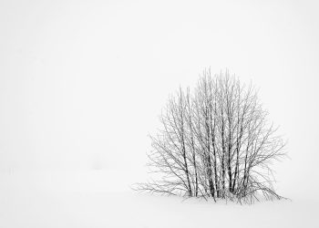 Discovering Minimalism: A New Approach to Living