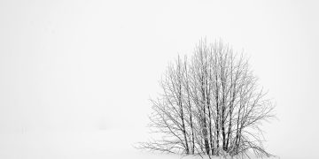 Discovering Minimalism: A New Approach to Living