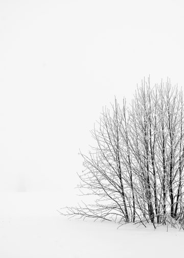 Discovering Minimalism: A New Approach to Living