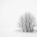 Discovering Minimalism: A New Approach to Living