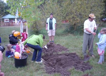 Sustainable Living: Steps Towards a Greener Future