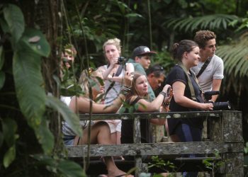 Eco-Tourism: Traveling with a Conscience